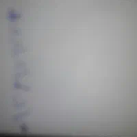 شماره رندداعمی بدونه زنگ خورباضمانت(09369797703)