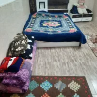 اجاره زیر زمین گلخانه ای محور باغ فین|اجارهٔ خانه و ویلا|کاشان, فین کوچک|دیوار