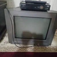 تلویزیون