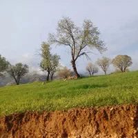 فروش قطعه زمین تجاری مسکونی