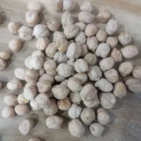 نخودتمیز ودرشت150کیلو