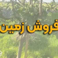 فروش زمین