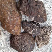 سنگ شجر|کلکسیون اشیاء عتیقه|زنجان, |دیوار