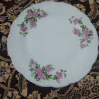 بشقاب چینی گل سرخی