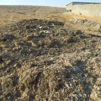 کودخشک مرغ
