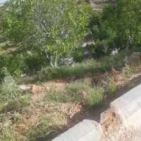 فروش باغ ۱۰۰۰متری