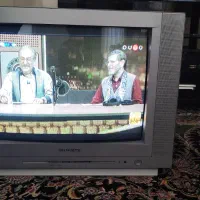 تلویزیون ۲۱ اینچ پانوراما سالم|تلویزیون و پروژکتور|مرودشت, ابوذر شمالی|دیوار