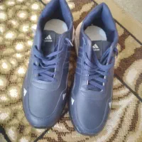 حراج کردم نونو