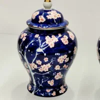 کندی یابانکه وجینجر