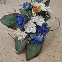 چند عدد گل زیبا