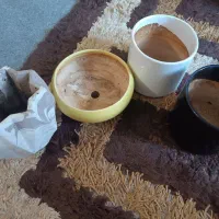 گلدان