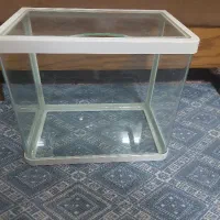 اکواریوم شیشه خم