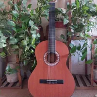گیتار پارسی M3