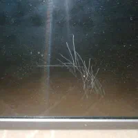 تلویزیون|تلویزیون و پروژکتور|تهران, قیام|دیوار