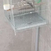 سهره