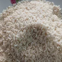 برنج هاشمی ۱۴۰۵ سورتینگ شده