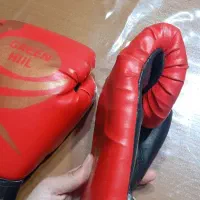 دستکش ووشو|تجهیزات ورزشی|هشتگرد, شهرک آپادانا|دیوار