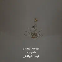 لوستر دوعدد جفت مامونیه