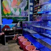 واگذاری مغازه پرنده فروشی