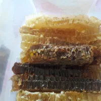 عسل طبیعی|خوردنی و آشامیدنی|گوگان, |دیوار