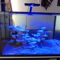 آکواریوم بغل سامپ