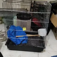 قفس پرنده|لوازم جانبی حیوانات|اصفهان, ملک‌شهر|دیوار