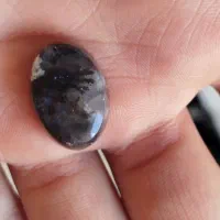 شجر سیاه خراسان|زیورآلات و اکسسوری|یزد, |دیوار