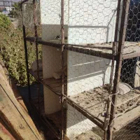 قفس کبوتر|لوازم جانبی حیوانات|نیشابور, فردوسی جنوبی|دیوار