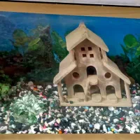 آکواریوم نوبرای انواع ماهی باکلبه وشنها