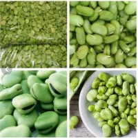 باقلا سبز تازه پاک کرده