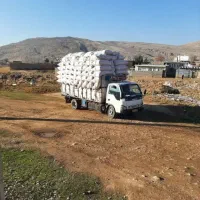 کاه گندم گاوی درشت و گوسفندی نرم موجوده|حیوانات مزرعه|مبارکه, |دیوار