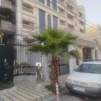 نخل پالم|گل و گیاه طبیعی|اهواز, سلطانمنش|دیوار