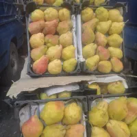 سوپرمیوه.بصورت عمده‌ انواع میوه گوجه گیلاسی.|خوردنی و آشامیدنی|بوشهر, |دیوار