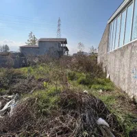 زمین جنگلی با نگهبانی مقیم، امنیت و آرامش مطلق