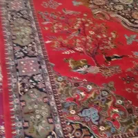 فرش|فرش|فشاپویه, |دیوار