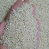 برنج نیمدانه ایرانی  دودی