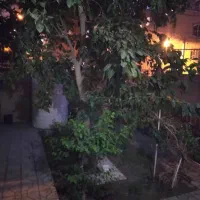 ۷۰متری/۶۰ متر حیاط اختصاصی/سندتک برگ/تاپ لوکیشن|فروش آپارتمان|اندیشه, اندیشه فاز ۱|دیوار