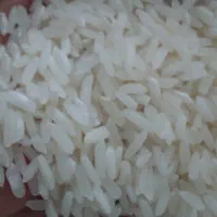 برنج هاشمی ممتاز