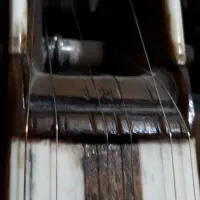 تار قدیمی|سازهای سنتی|نسیم‌شهر, |دیوار