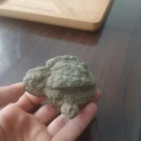 سنگ فسیل