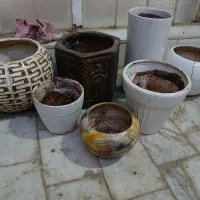 گلدان سفالی و سرامیکی|گل و گیاه طبیعی|قم, شهدا|دیوار