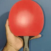 راکت پینگ پنگ|ورزشهای توپی|بوشهر, |دیوار