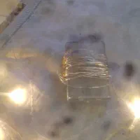 لامپ تازئین مغازه یااتاق خواب بارقص نورزیبا