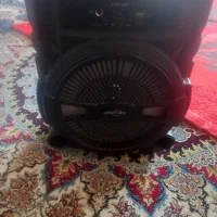 ظبت