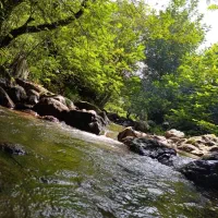 پارتنر طبیعت گردی