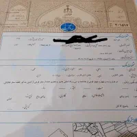 فروش باغ ثمری با موقعیت خوب در روستای کاکان