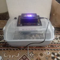 دستگاه جوجه کشی|لوازم جانبی حیوانات|تربت‌حیدریه, قائم|دیوار