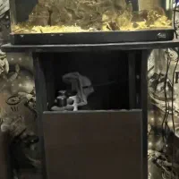 آکواریم آبشور