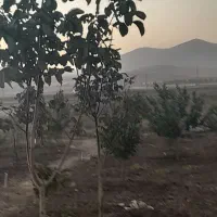 باغ ۱۰۰۰متری|فروش دفتر صنعتی، کشاورزی، تجاری|جوکار, |دیوار