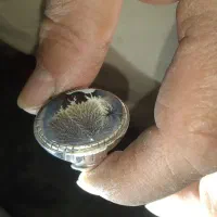 انگشتر شجر|جواهرات|کرمانشاه, |دیوار